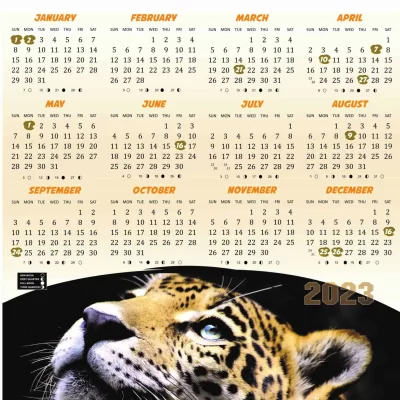 A3 Calendar 2023 Leopard