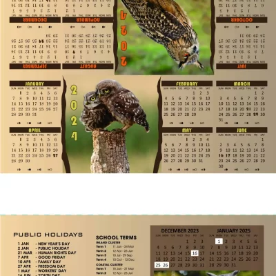 Triangle Calendar 2024 Owl