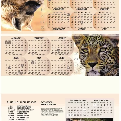 Triangle Calendar 2023 Leopard
