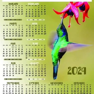 A3 Calendar 2024 Bird