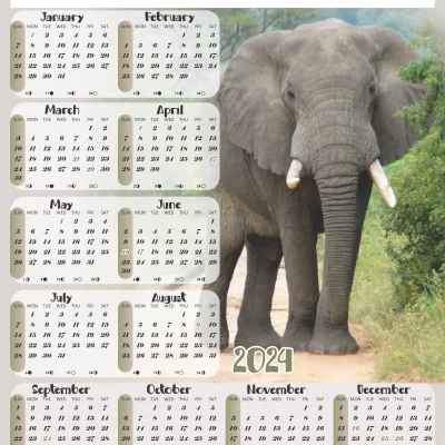 A3 Calendar 2024 Elephant
