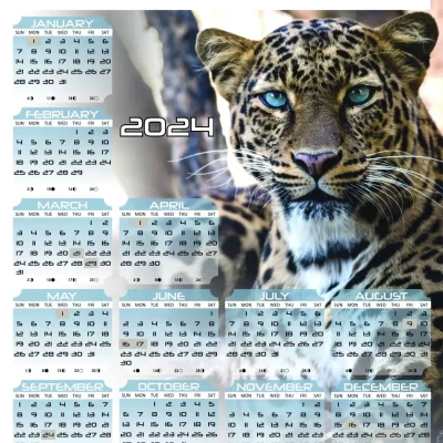A3 Calendar 2024 Leopard