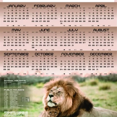 A3 Calendar 2024 Lion
