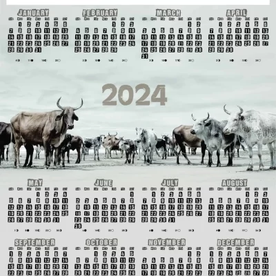 A3 Calendar 2024 Transkei