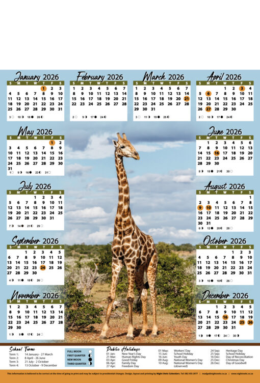 A2 Giraffe