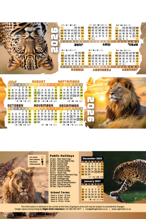 TRIANGLE Lion Leopard